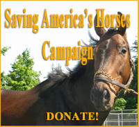 Donate!